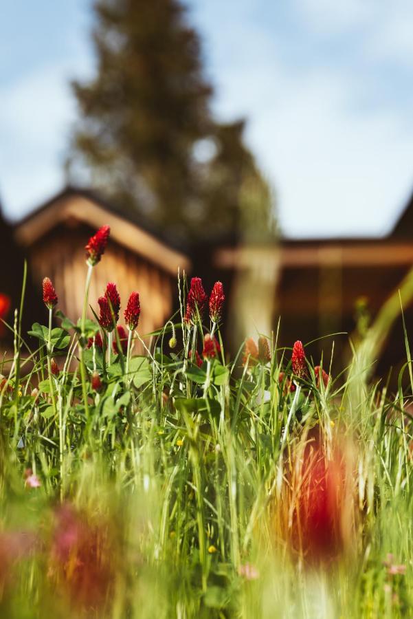 Hideaway Hotel Montestyria Chalets & Suiten Mariazell Εξωτερικό φωτογραφία